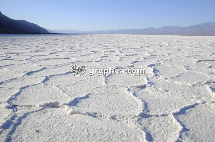 Dépôts de sel de Bad Water (Vallée de la mort, Death Valley NP, Californie) - gryphea.org